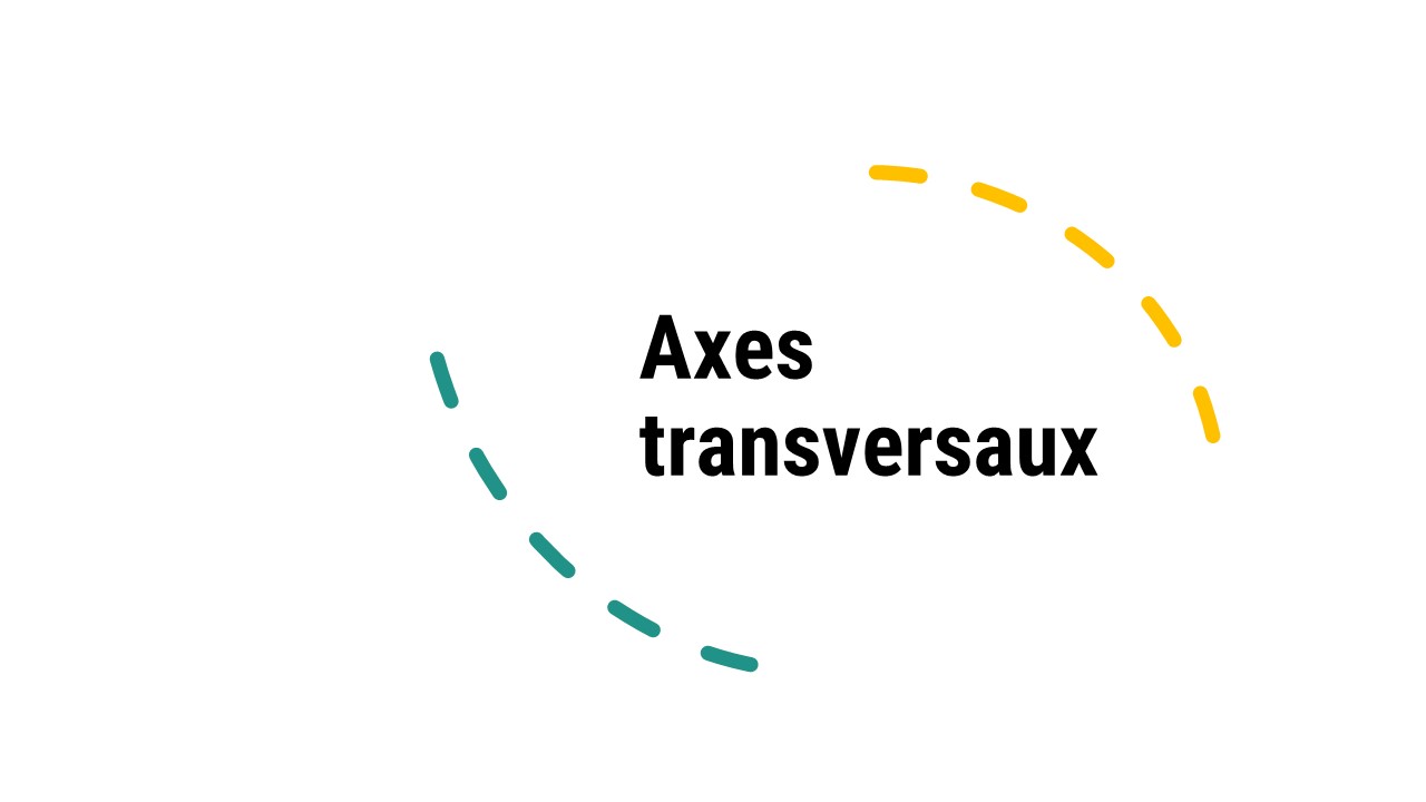 axe transversaux